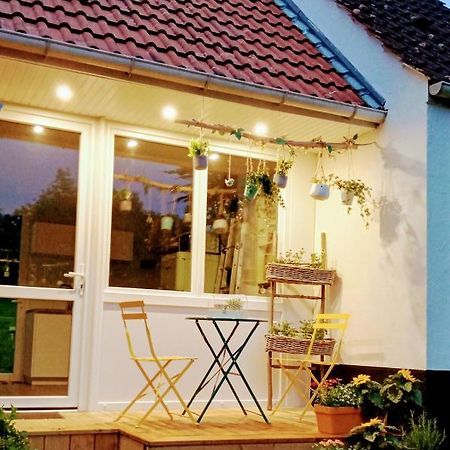 Le Cottage Du Marais. Houlle Екстериор снимка